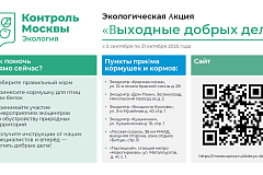 Выходные добрых дел